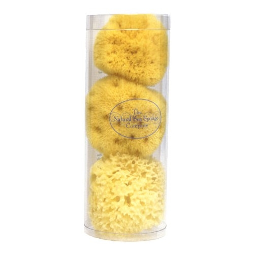 Three sea sponges in a pack