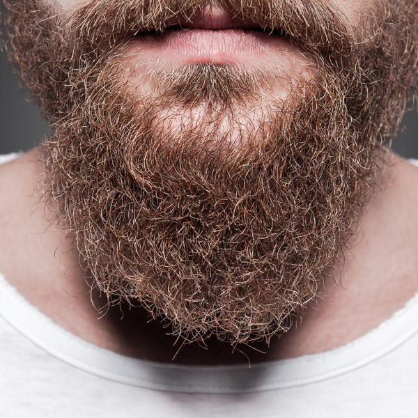 dry beard